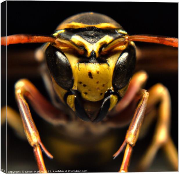 Extreme Wasp Closeup Canvas Print by Simon Marlow