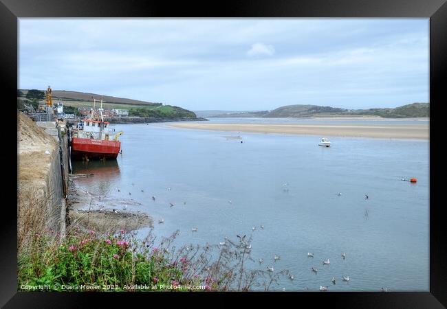 Padstow Sand Snipe River Camel Framed Print by Diana Mower