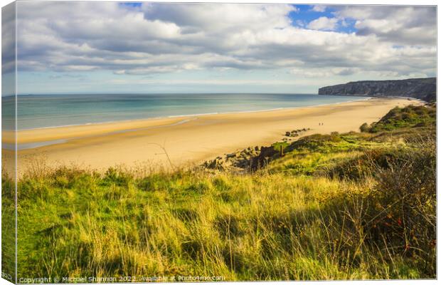 Clifftop view of Reighton and Speeton Sands Canvas Print by Michael Shannon