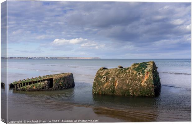Old shipwreck on the beach near Reighton (Filey Ba Canvas Print by Michael Shannon