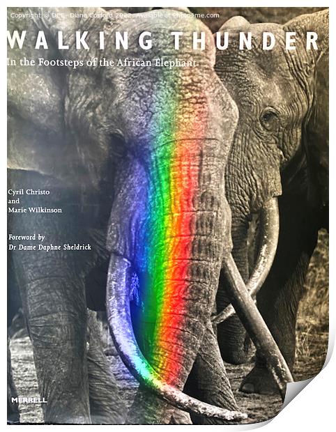 Majesty of elephant spotlit Print by DEE- Diana Cosford