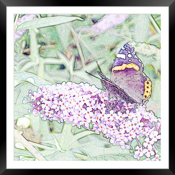 Lilac Flutters Framed Mounted Print by Sharon Lisa Clarke