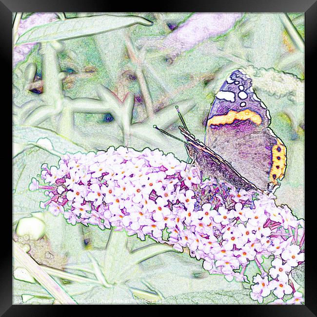 Lilac Flutters Framed Print by Sharon Lisa Clarke