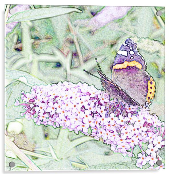 Lilac Flutters Acrylic by Sharon Lisa Clarke