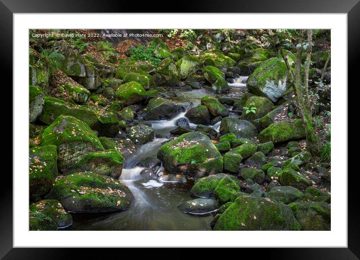 Padley Gorge Framed Mounted Print by David Hare