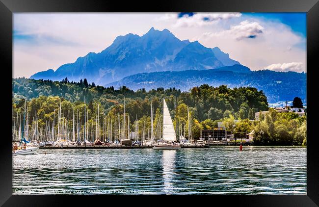 Sailboats Harbor Mountains Lake Lucerne Switzerland Framed Print by William Perry
