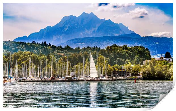 Sailboats Harbor Mountains Lake Lucerne Switzerland Print by William Perry