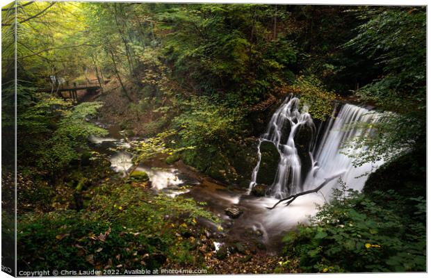 A waterfall in the woods Canvas Print by Chris Lauder