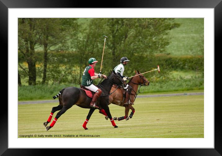 Polo match Framed Mounted Print by Sally Wallis