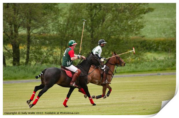 Polo match Print by Sally Wallis