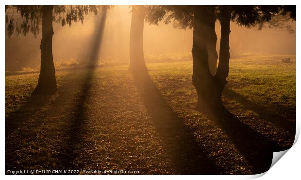 Misty trees with a sunset 823  Print by PHILIP CHALK