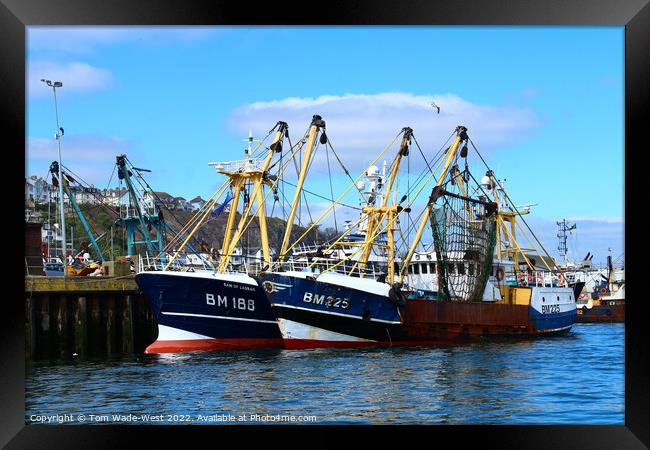 Brixham Fishing Boats Framed Print by Tom Wade-West