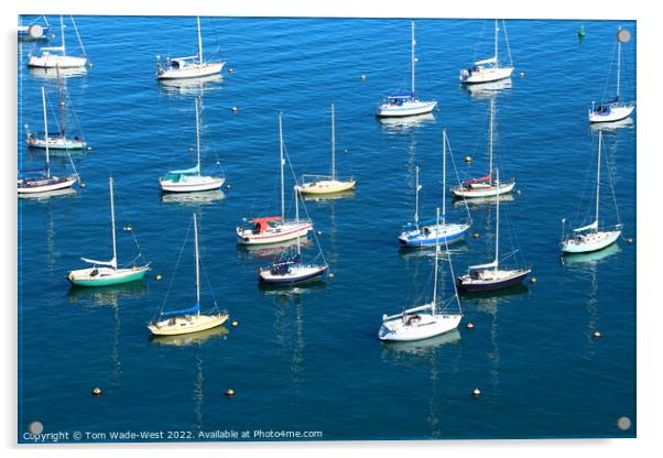 Sailing boats in Brixham Harbour  Acrylic by Tom Wade-West