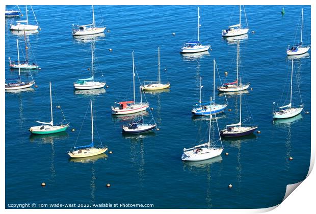 Sailing boats in Brixham Harbour  Print by Tom Wade-West