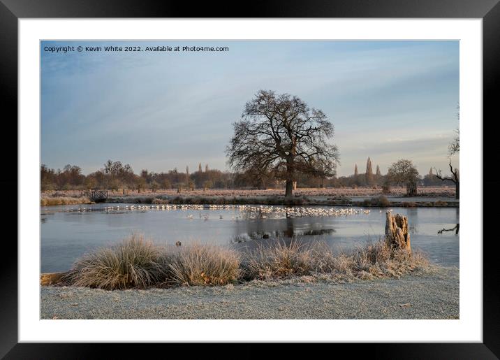 December ice and sun Framed Mounted Print by Kevin White