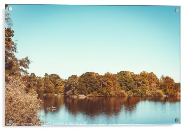 The Lake At Hartsholme Park Acrylic by Amanda Elwell