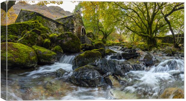 The Old Mill - Borrowdale Canvas Print by Phil Durkin DPAGB BPE4
