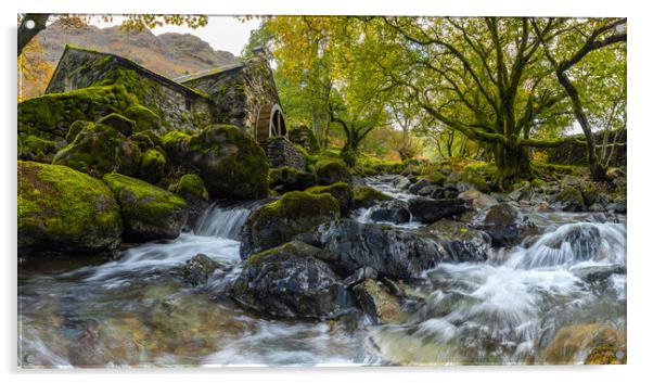 The Old Mill - Borrowdale Acrylic by Phil Durkin DPAGB BPE4