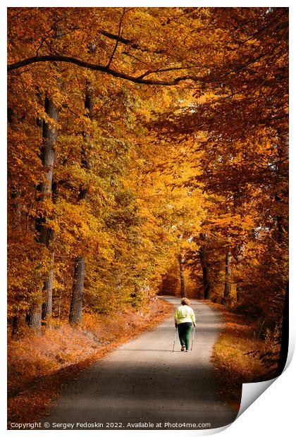 Woman on the road in the autumn forest. Print by Sergey Fedoskin