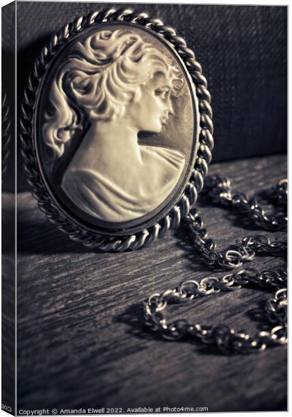 Cameo Necklace Canvas Print by Amanda Elwell