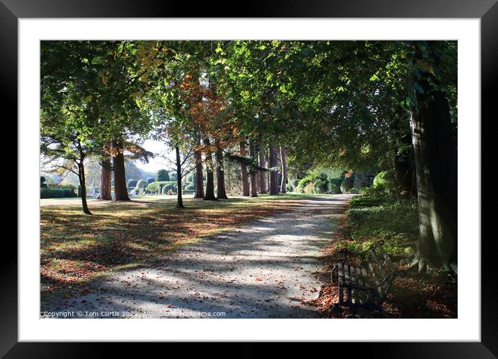 Path through the Gardens Framed Mounted Print by Tom Curtis