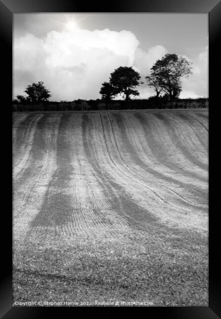 Shadows of Nature Framed Print by Stephen Hamer