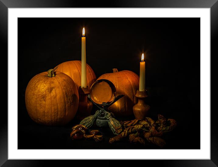 Treasures of Autumn Framed Mounted Print by Lesley Moran