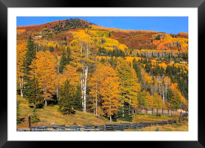 Peak Fall Color Framed Mounted Print by Donna Kennedy