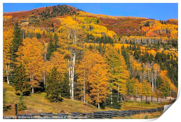 Peak Fall Color Print by Donna Kennedy