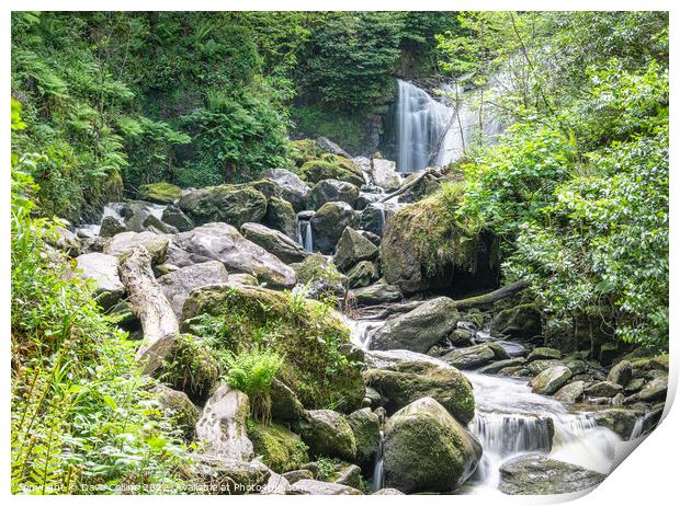 Torc Waterfall in  Killarney National Park in County Kerry, Ireland Print by Dave Collins