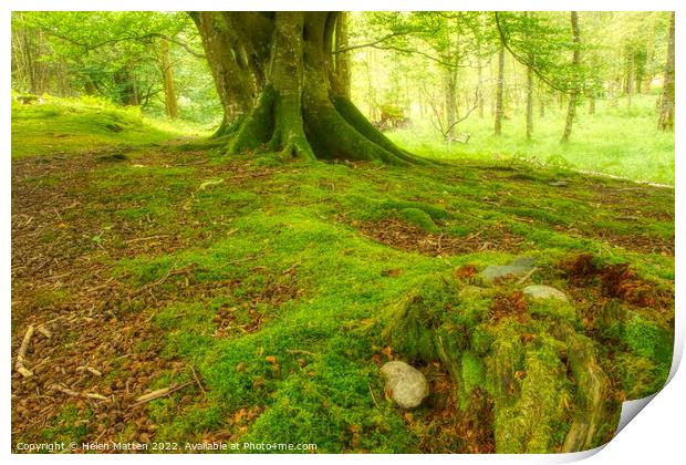 Enchanting Faerie Haven Print by Helkoryo Photography