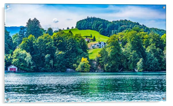 Houses Boathouse Green Meadows Lake Lucerne Switzerland Acrylic by William Perry