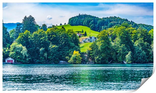 Houses Boathouse Green Meadows Lake Lucerne Switzerland Print by William Perry