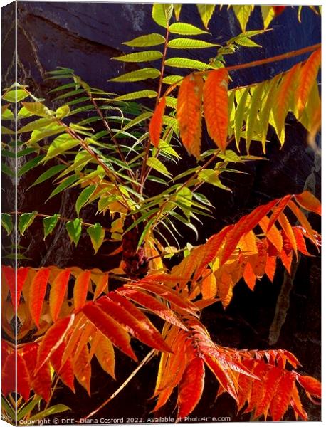 Uplifting leaves on an uplifting day Canvas Print by DEE- Diana Cosford