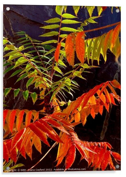 Uplifting leaves on an uplifting day Acrylic by DEE- Diana Cosford