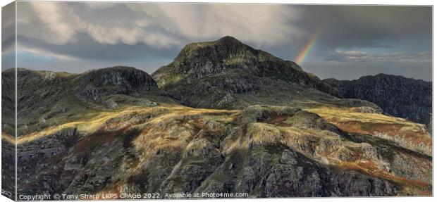 HARRISON STICKLE SUNLIGHT 2 Canvas Print by Tony Sharp LRPS CPAGB