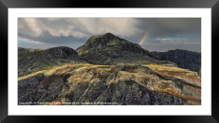 HARRISON STICKLE SUNLIGHT 2 Framed Mounted Print by Tony Sharp LRPS CPAGB