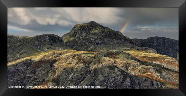 HARRISON STICKLE SUNLIGHT 2 Framed Print by Tony Sharp LRPS CPAGB