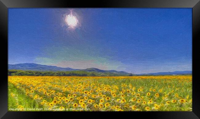 Sunflower Dreaming Art Framed Print by David Pyatt