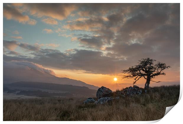 Sunrise in Snowdonia Print by Rory Trappe