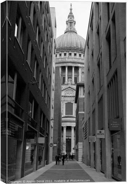 Canon Aly and St Pauls Cathedral in London - Monochrome Canvas Print by Angelo DeVal