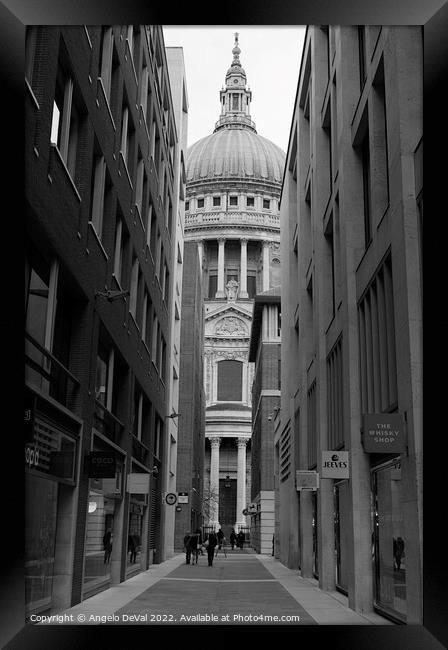 Canon Aly and St Pauls Cathedral in London - Monochrome Framed Print by Angelo DeVal