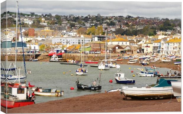 Teignmouth Harbour Devon Canvas Print by Anthony Michael 