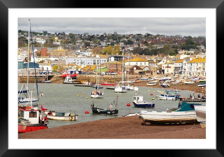 Teignmouth Harbour Devon Framed Mounted Print by Anthony Michael 