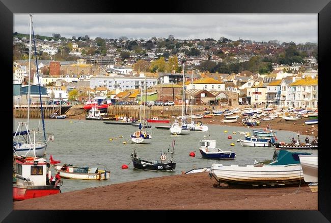 Teignmouth Harbour Devon Framed Print by Anthony Michael 