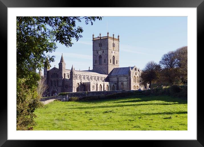 St David's Cathedral    Framed Mounted Print by Anthony Michael 
