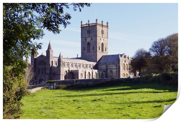 St David's Cathedral    Print by Anthony Michael 