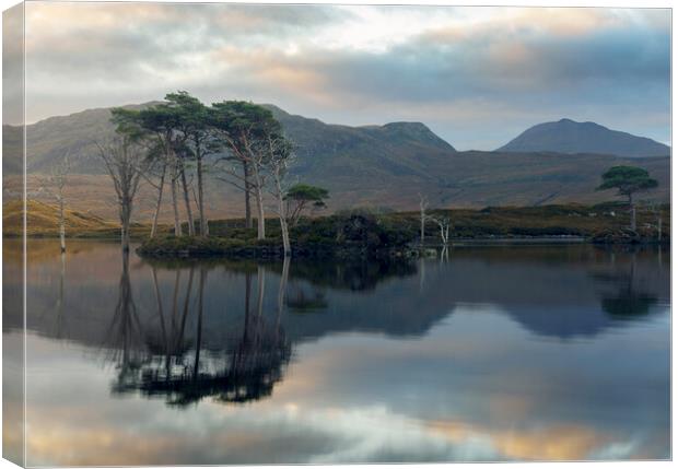 Reflections on Loch Assynt Canvas Print by Anthony McGeever