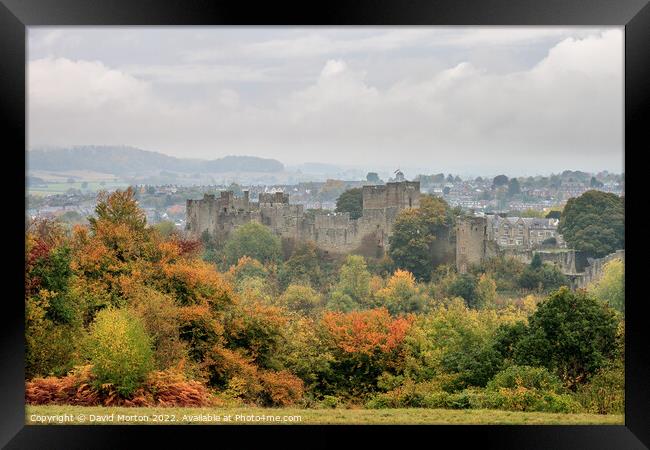 Ludlow Castle in the Autumn Framed Print by David Morton