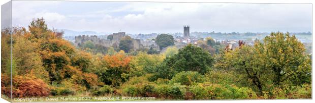 Ludlow Castle and St Laurence Church from Whitcliffe viewpoint in the autumn Canvas Print by David Morton